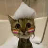 simimb