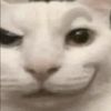 butteredtoast38