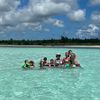 callietropicss