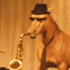 imsohotthatyoucanttakeit