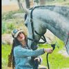 TOLAY🐎