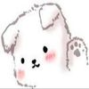 rose._.arts_