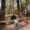 niyaz_pittil
