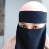 mayanurhaenii