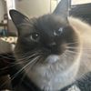 maggiemoostiktokshopfavs