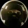 xloleczqa