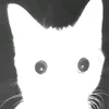 judgmental_shoelace5