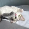 madelati