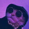 ch1llzzwrld