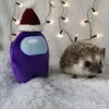 chonkersus