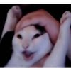 l3m0nb0yy