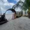 lil_apz