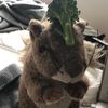 patrickthesquirrel