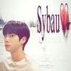 shaymaaboueid