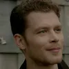 tvd.maltese