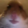 carlaluvsmilliebxb