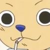 chopperistheonepiece