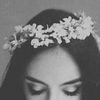 decemberwriter