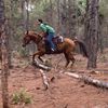 florida_equestrian