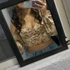 angeel_hdez