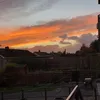 cara.stevo14