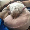 alyna529