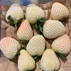 giant_strawbs