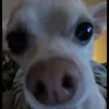 taylahs_old_account
