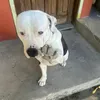 kexxy__