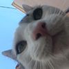 montoyahj27
