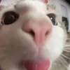 ellabellaaa98