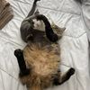 lforlauren723