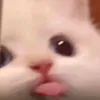 _mhxv_