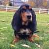 natedog0916