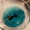 bipolarblueberry