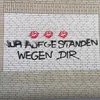 iss_nice