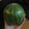 oofidoofini
