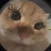 jisoounniii