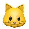 joshy_cat