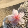 ️Janna