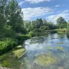 rittadld