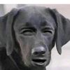 thetruthaboutcatsanddogs