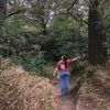 kristelstraveljournal