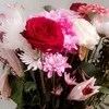 _m_saara