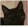 usereg7xwmcl9i