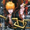 ichigo.vizard
