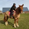 clara_hmk