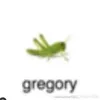 teacupfroggii