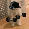 y2k_bigfitness