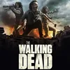 thewalkingdead...edits